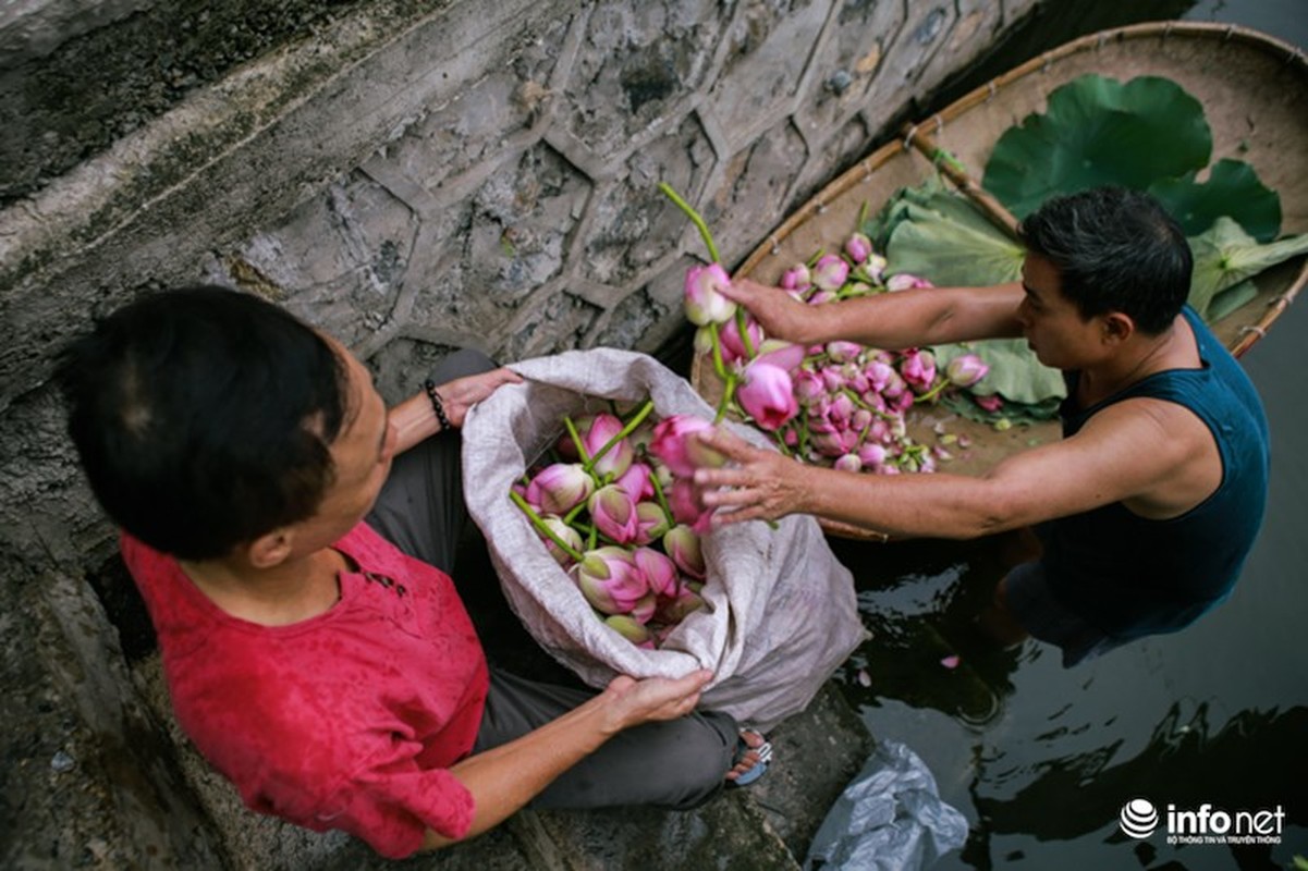 Nghe thuat uop tra sen lan toa the gioi cua nguoi thuong binh Viet Nam-Hinh-4